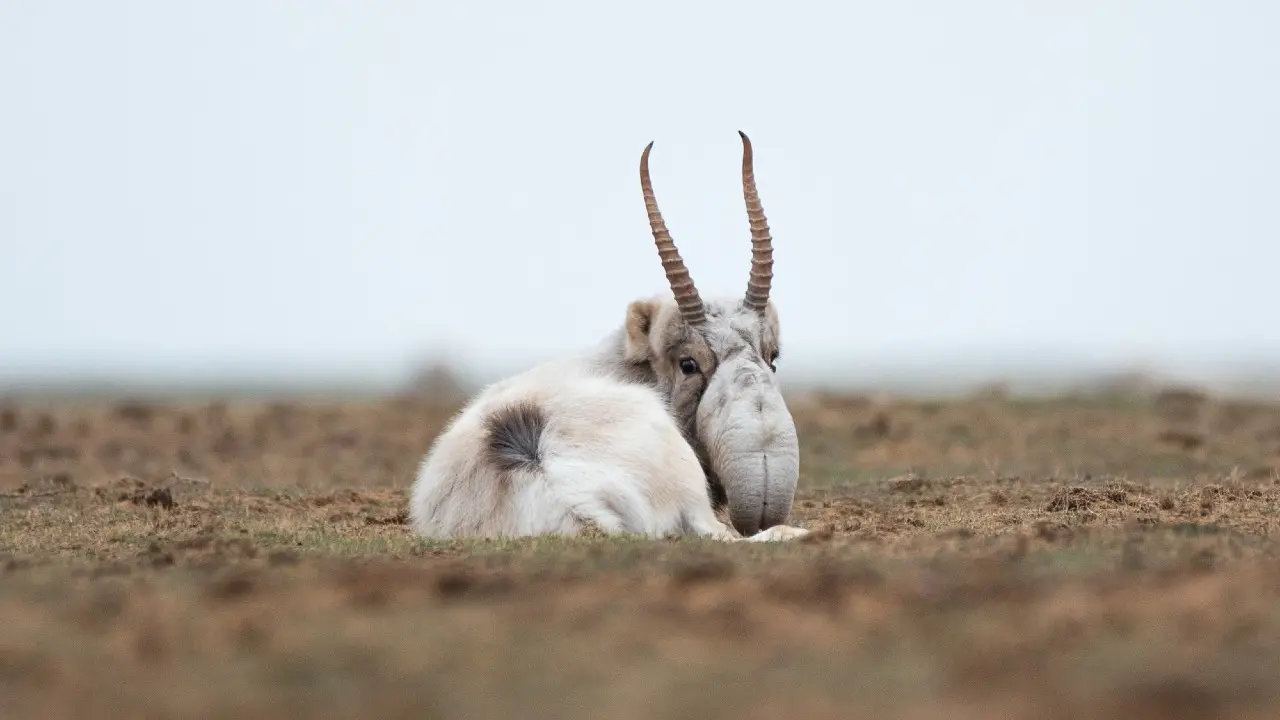 Фото Depositphotos.com