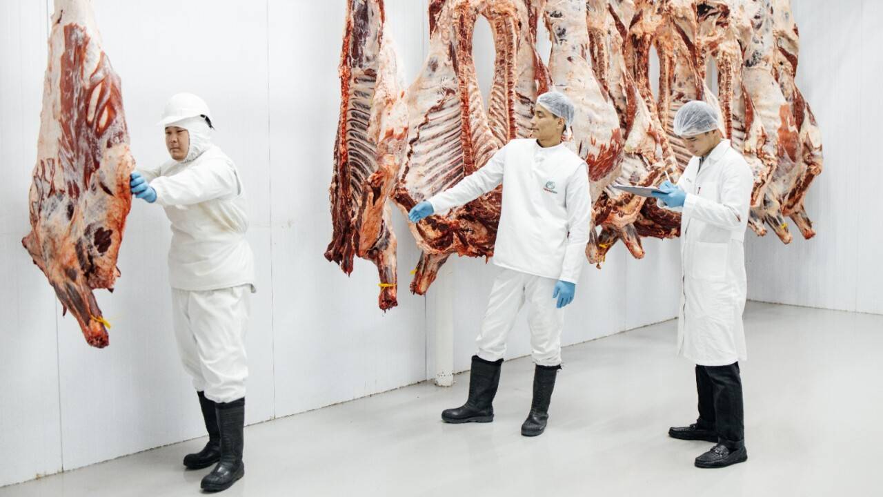 Фото: Korkem Alem