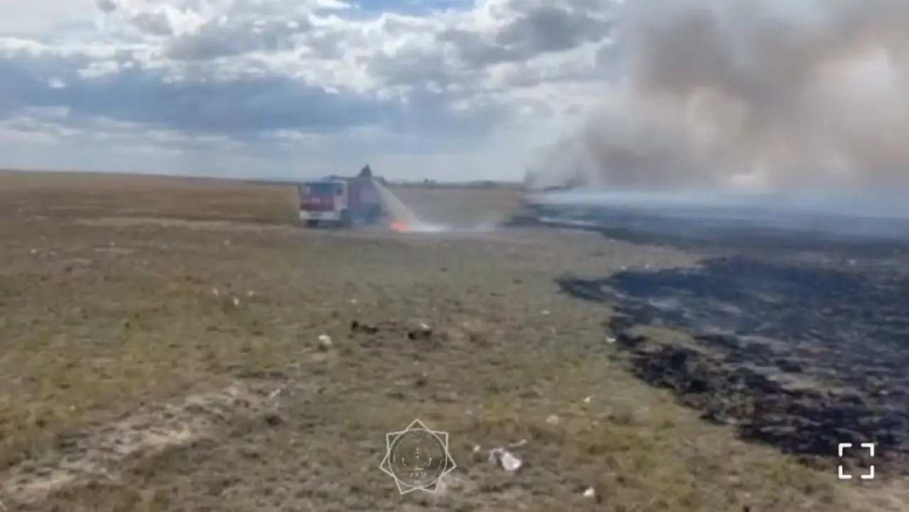 Фото: кадр из видео