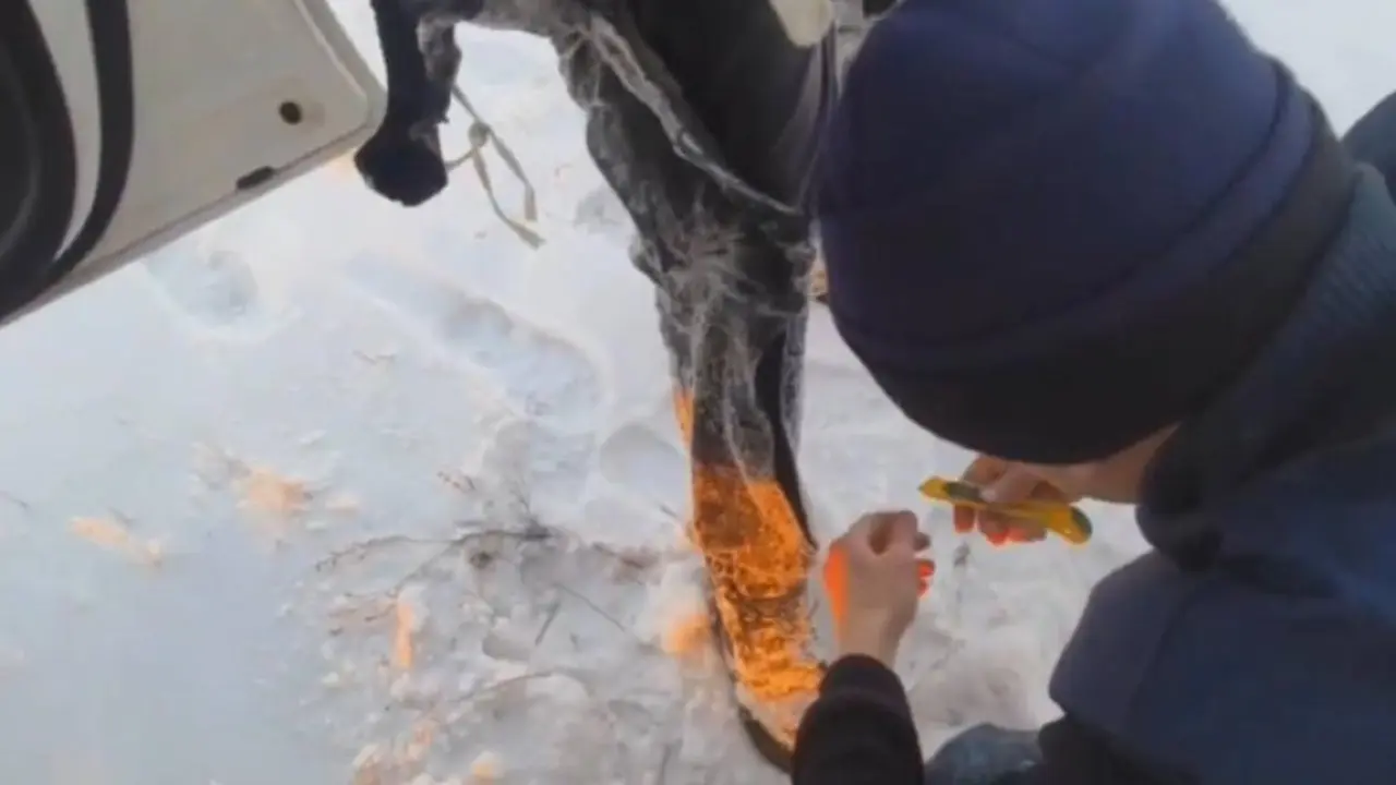 Фото МВД РК