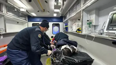 Травма головы и кровотечение: китайскую туристку спасли на леднике Богдановича в Алматы