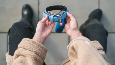 Гибель собаки на базе отдыха в Алматы объяснили несчастным случаем, полиция завела уголовное дело