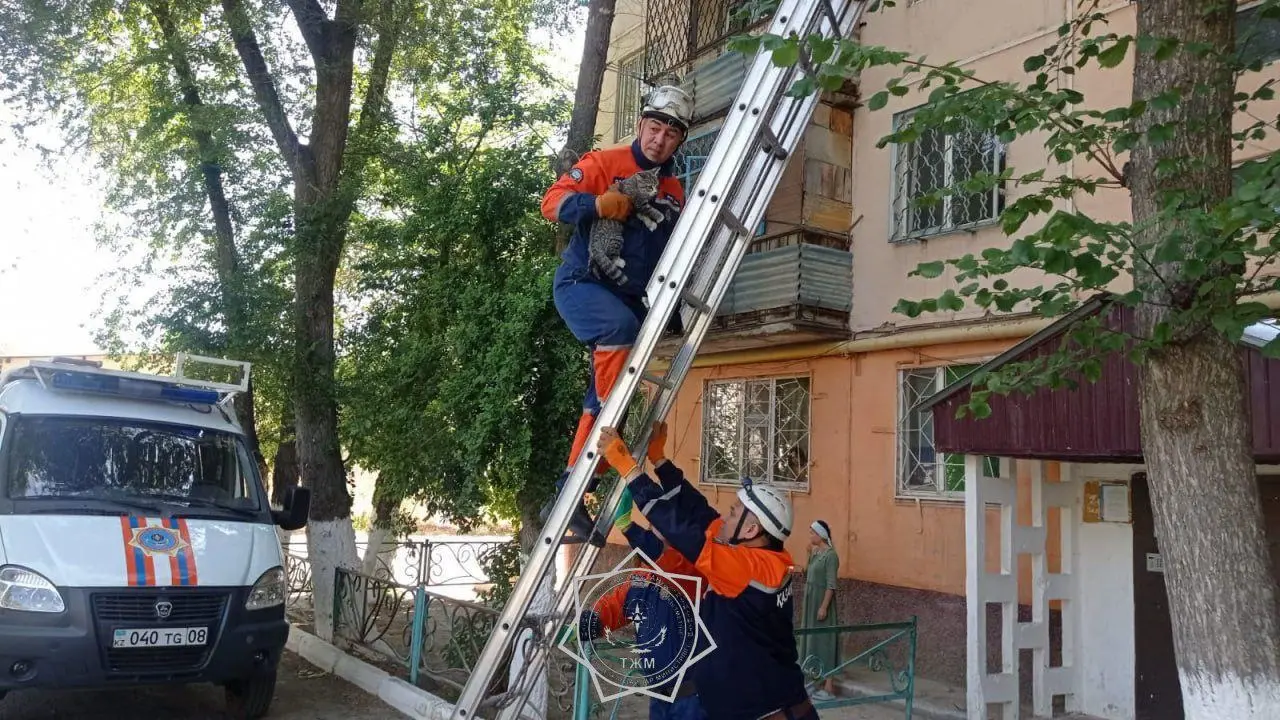 Важна каждая жизнь: более 400 животных спасли сотрудники МЧС РК в 2025 году