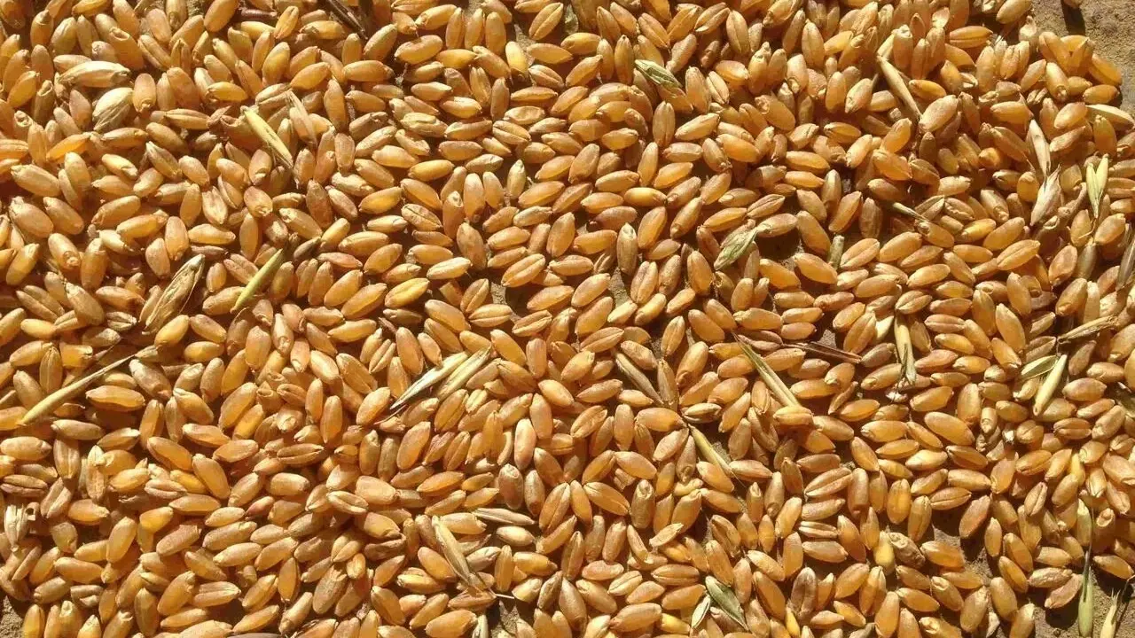 Фото Depositphotos.com