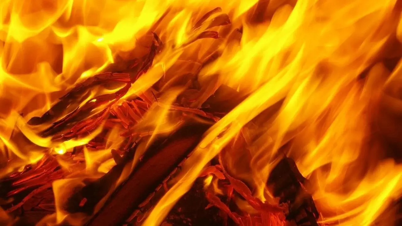 Фото Depositphotos.com