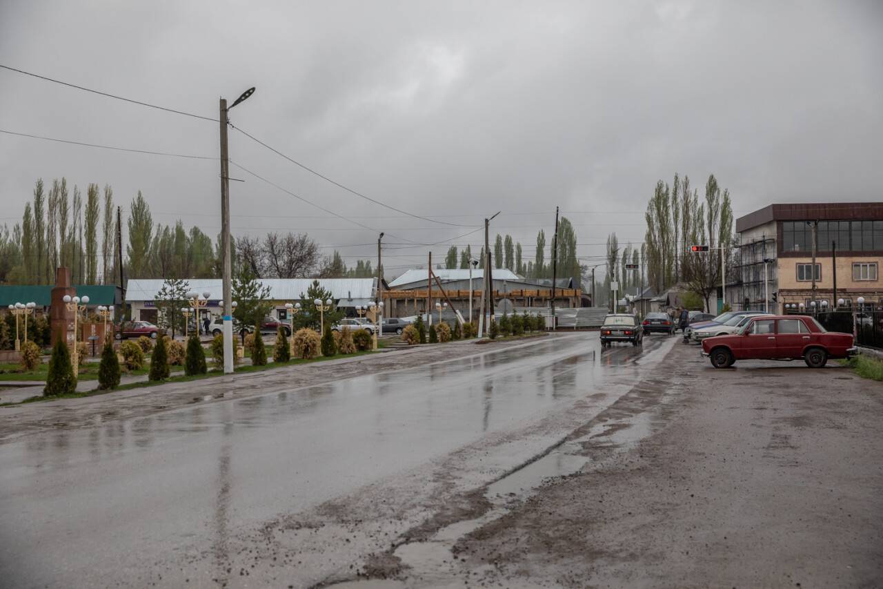 Много деревьев высажено в Масанчи / Фото Алмаза Толеке 