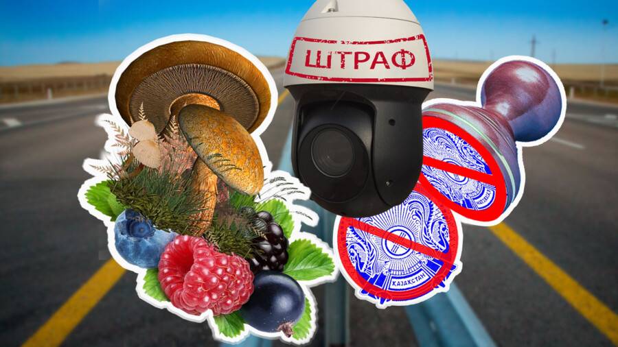 Коллаж Informburo.kz