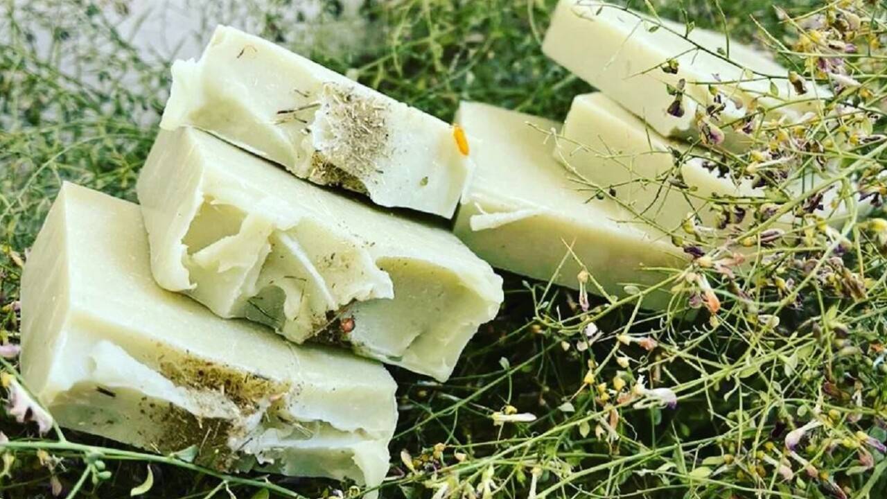 Аралда жантақ шөбінен жасалған сабын. Фото: Арсена Күшжанованың жеке мұрағатынан