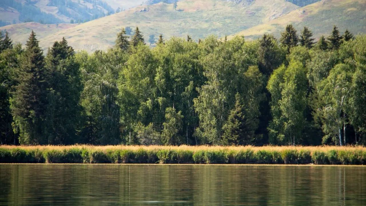 Фото Informburo.kz