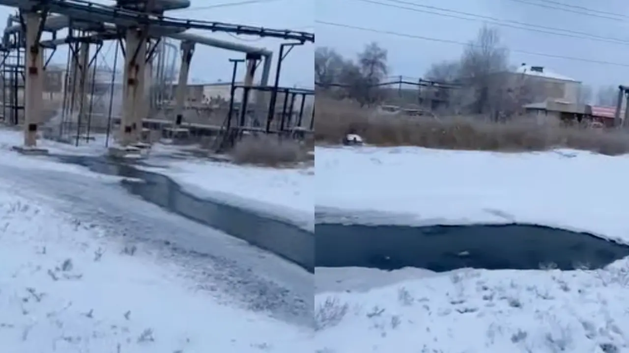 Кадр из видео 