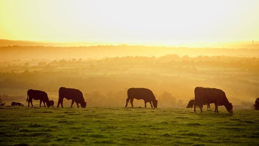 Depositphotos