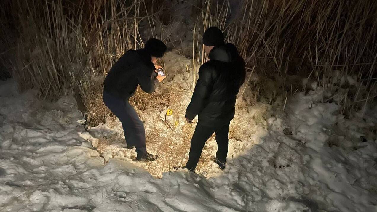 ДП Жамбылской области