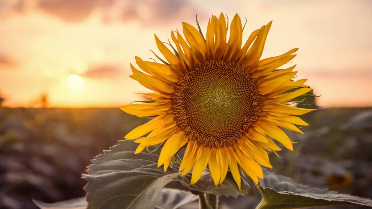 Источник: Depositphotos.com
