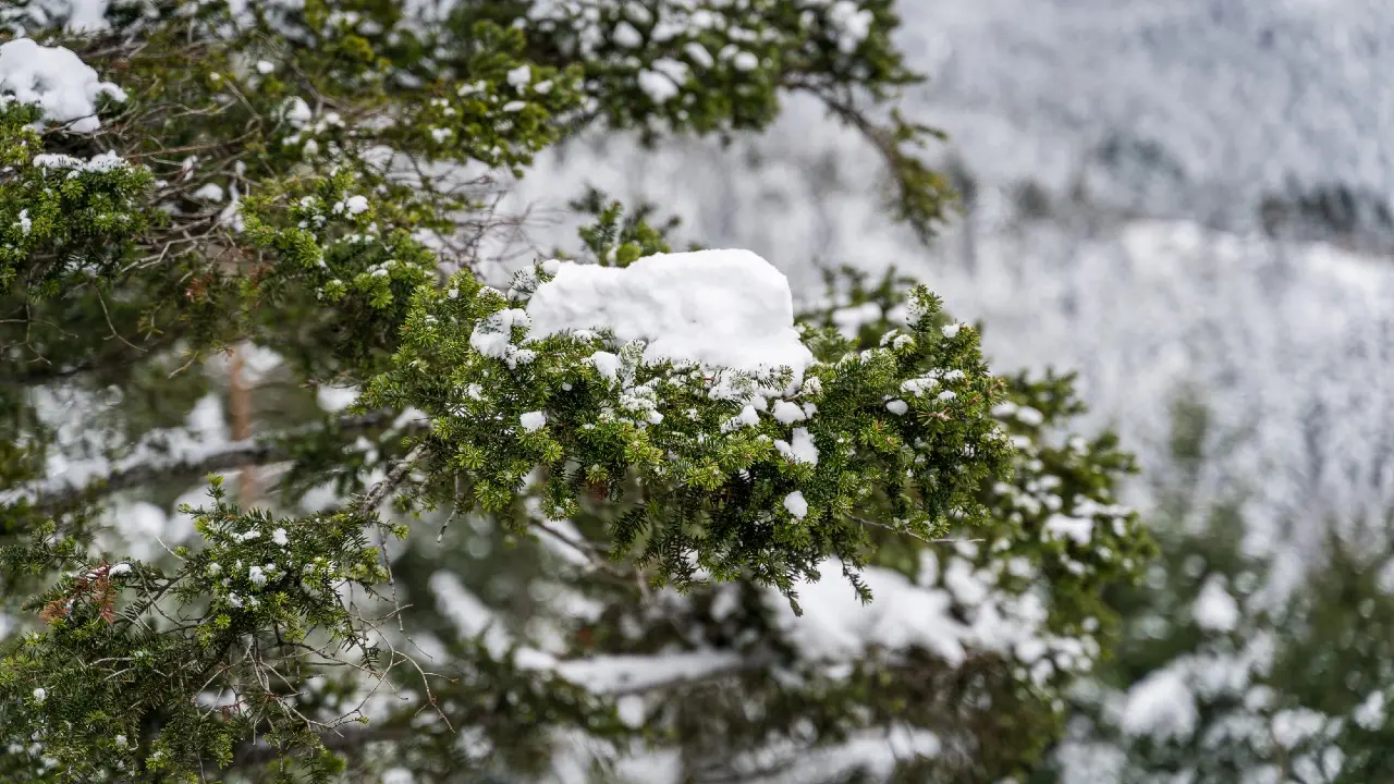 Фото Depositphotos.com