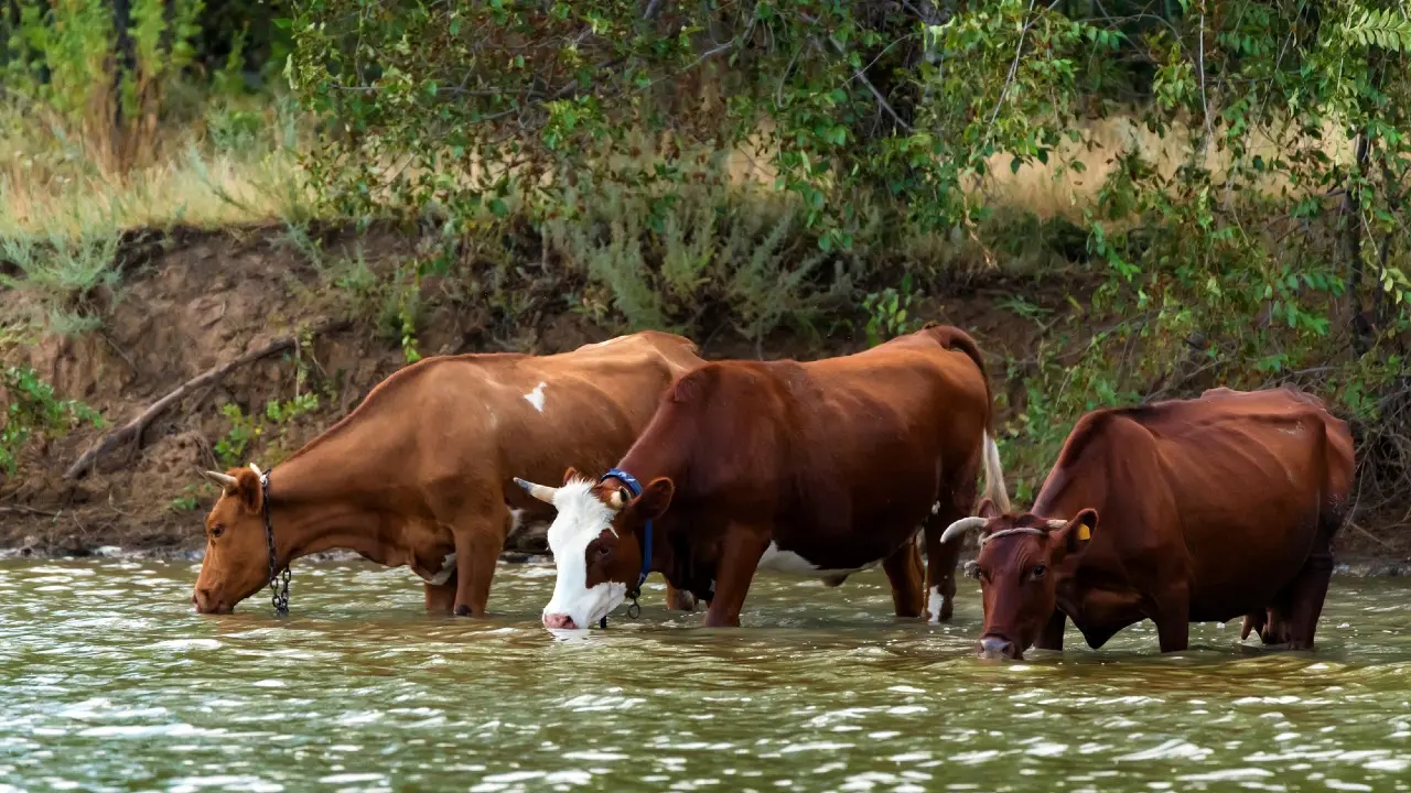 Фото Depositphotos.com