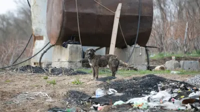 Это ненормально – получать удовольствие от насилия