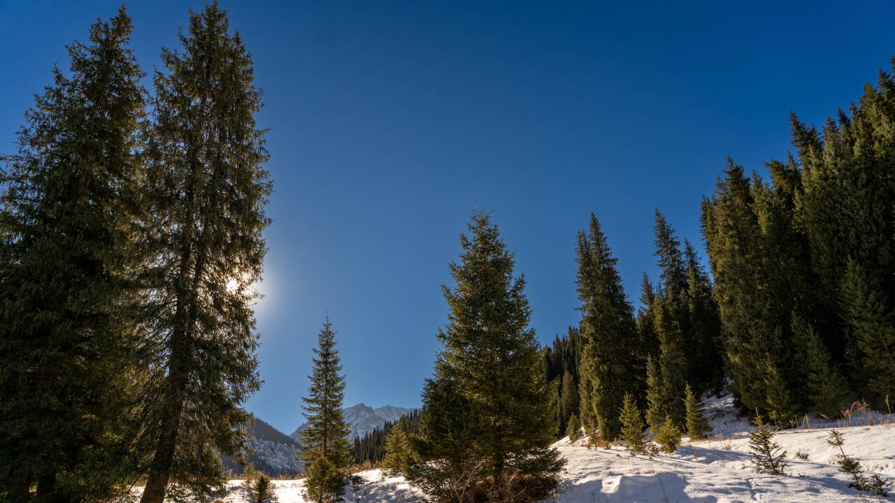 Фото Informburo.kz