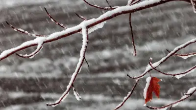 Потепление, метели и дожди: какая погода ожидает казахстанцев в ближайшие дни