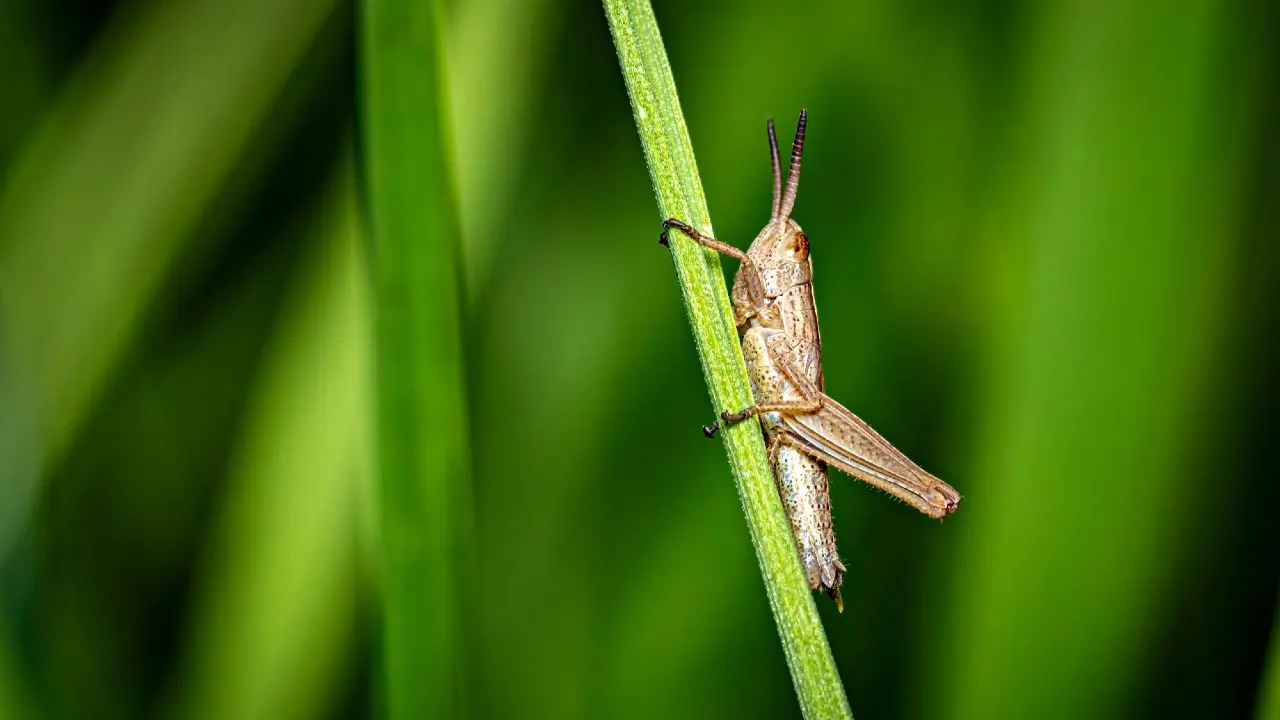 Фото Depositphotos.com