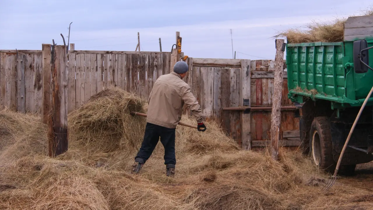 Фото Informburo.kz