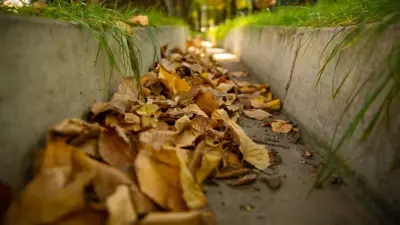 "Пока справляется". В Алматы не планируют расширять сеть арыков