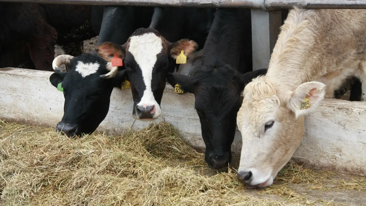 Фото Informburo.kz