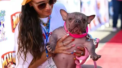 В Калифорнии выбрали самую уродливую собаку года