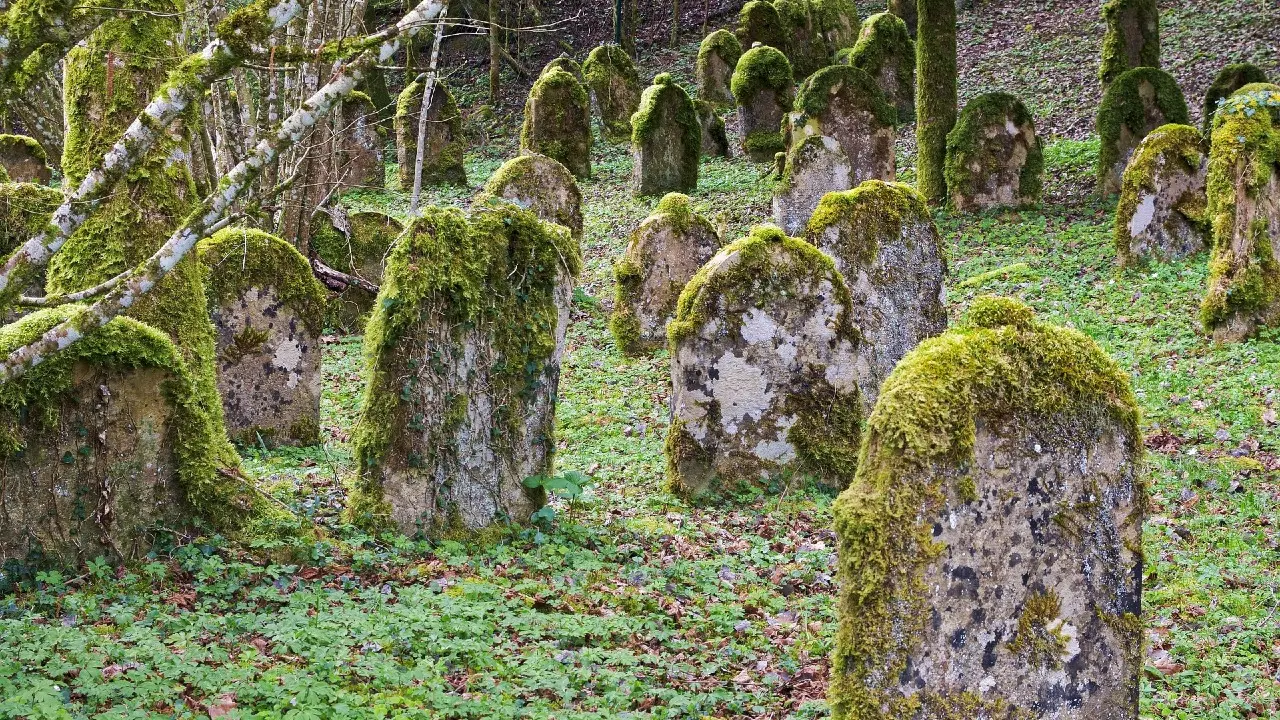 Фото Pixabay.com