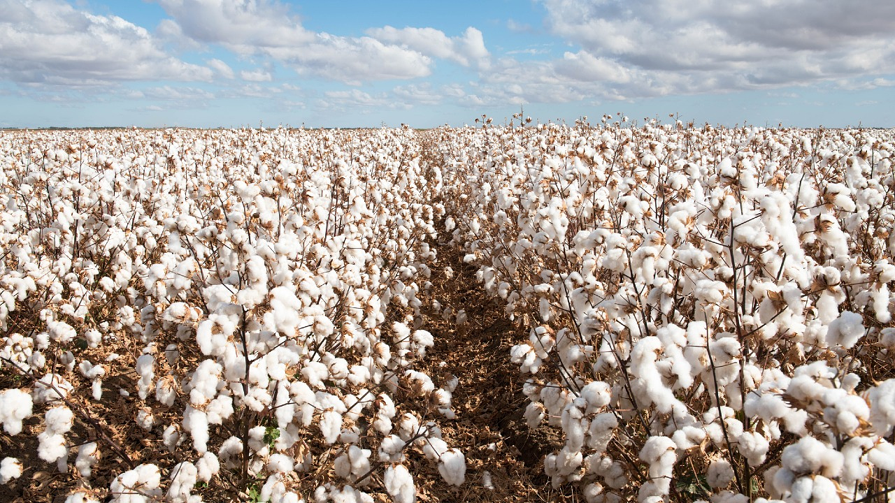 Фото Depositphotos.com