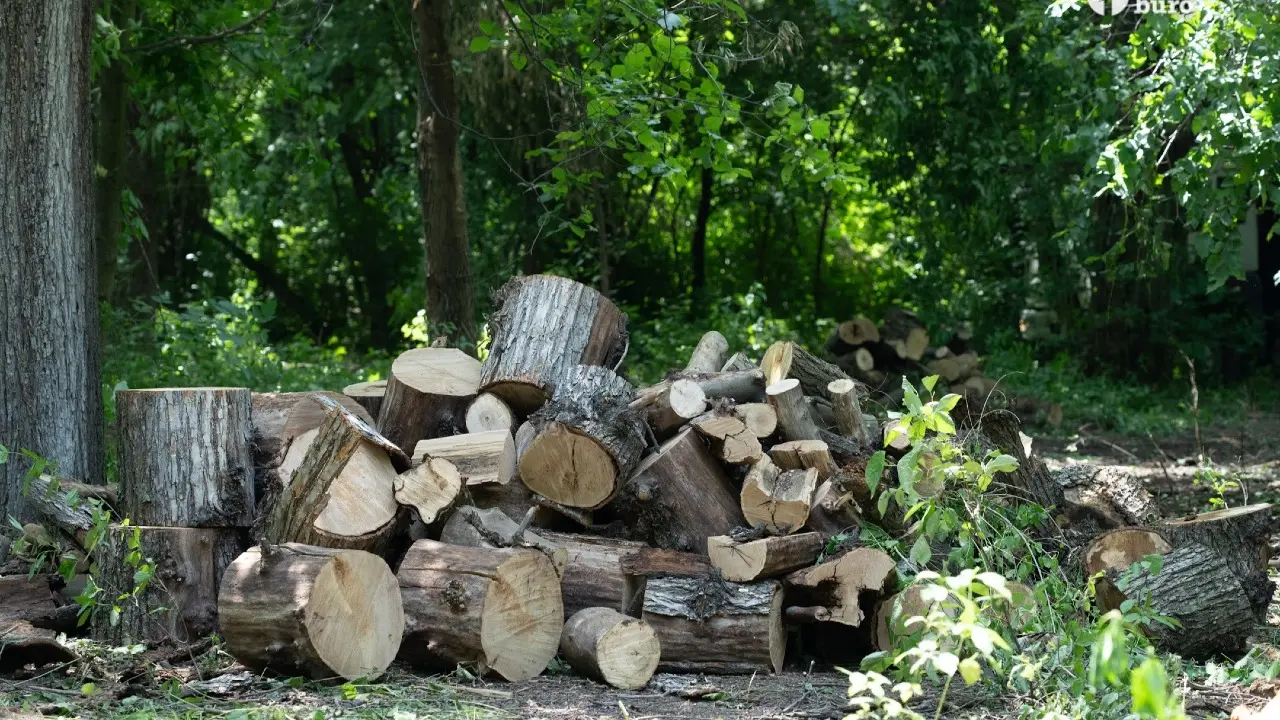 Фото Informburo.kz