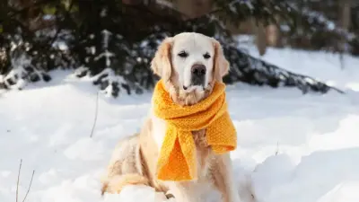 Метель и гололёд: какая погода ждёт казахстанцев в первые дни февраля