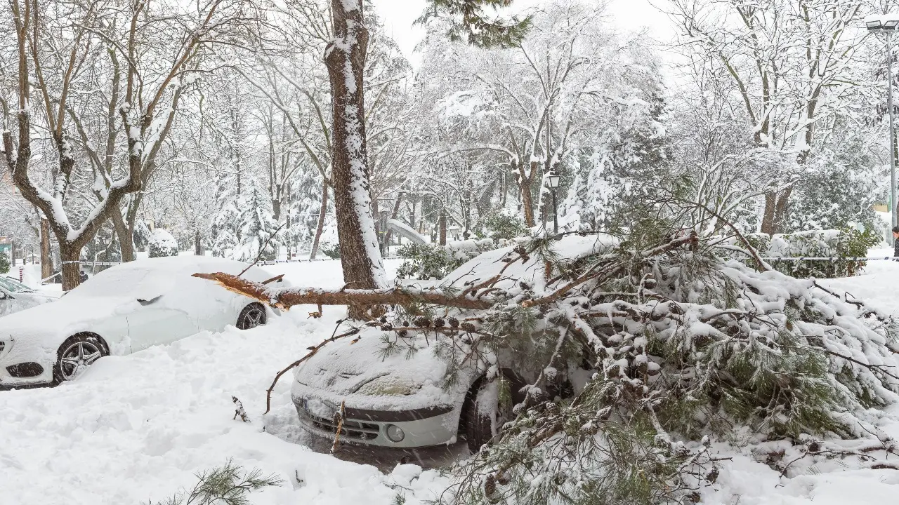 Фото Depositphotos.com