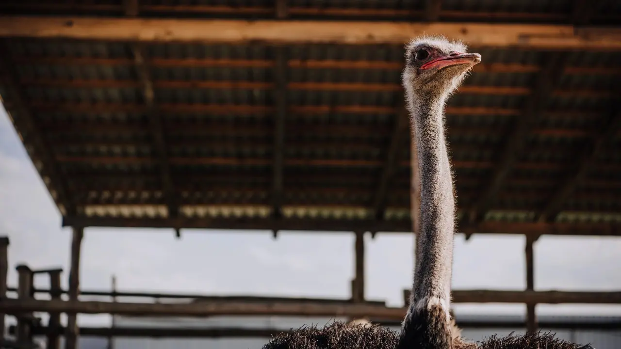 Фото Depositphotos.com