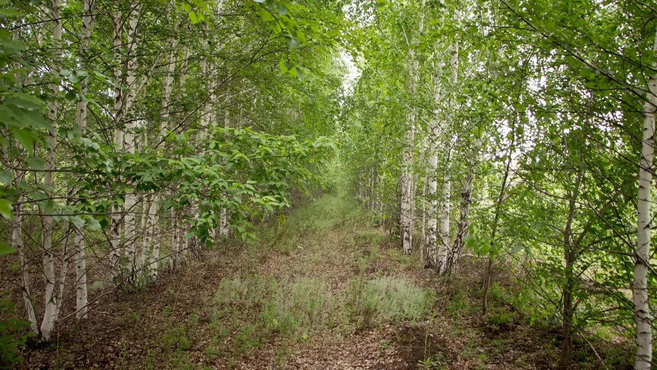 Фото Informburo.kz
