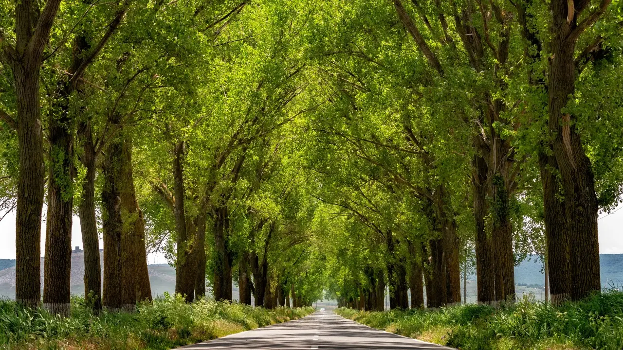 Фото Depositphotos.com