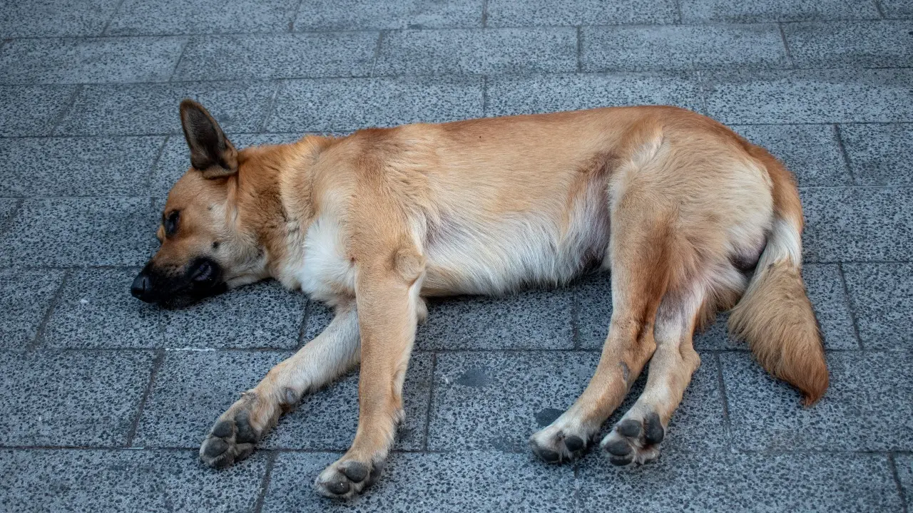 Фото Depositphotos.com