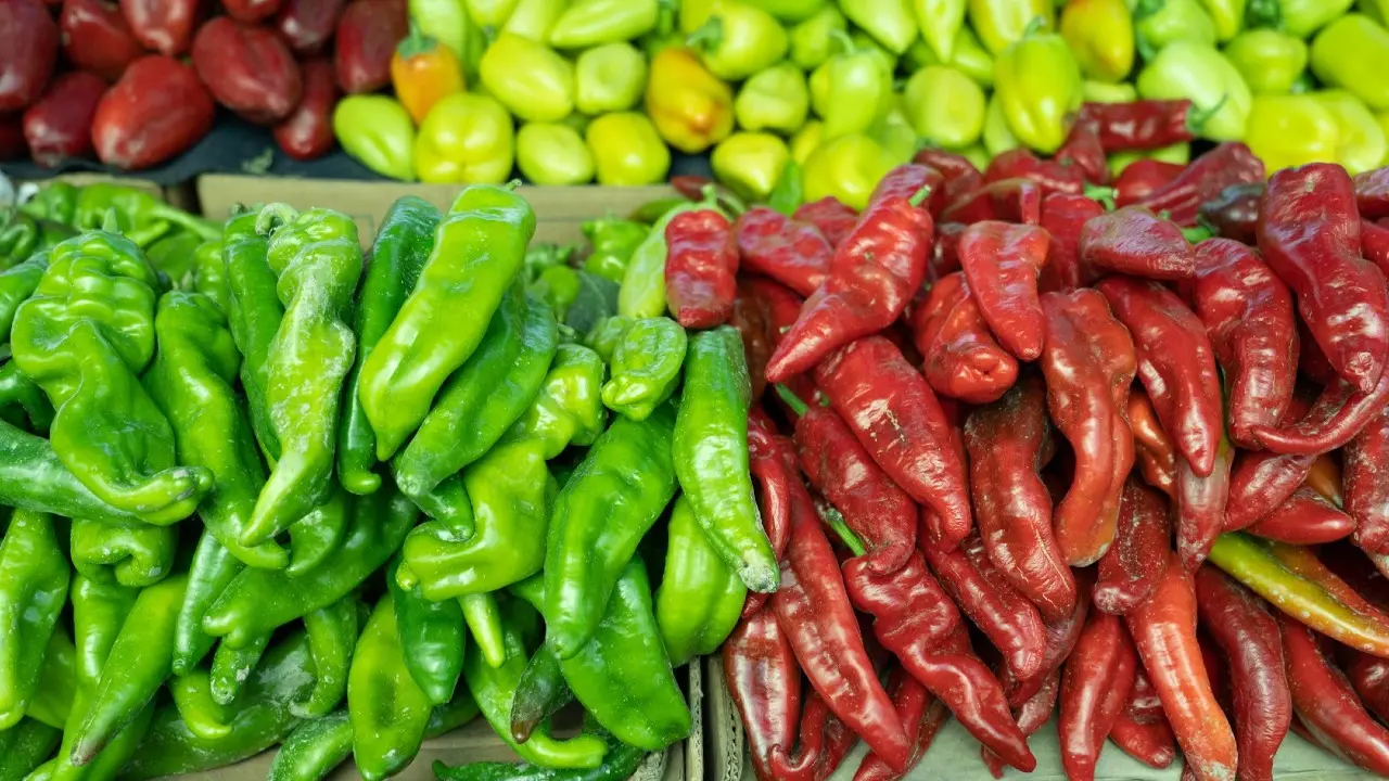 Фото Informburo.kz