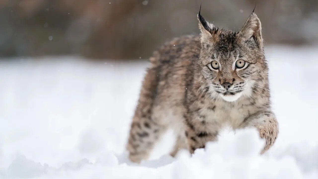 Фото Depositphotos.com