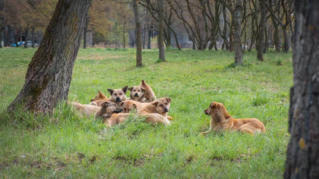 Фото Depositphotos.com