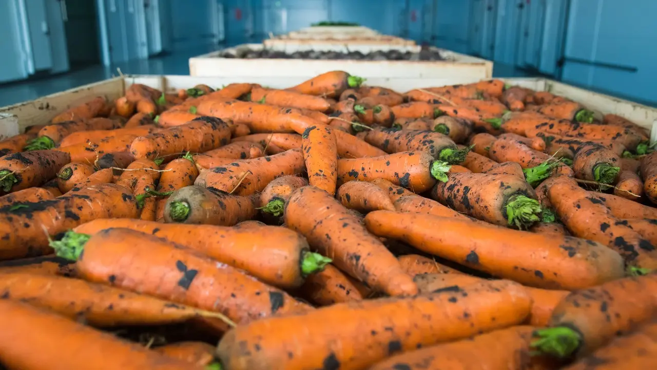 Фото Depositphotos.com