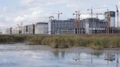 "Практически застроили". Не все озёра Малого Талдыколя вошли в проект нового генплана Астаны