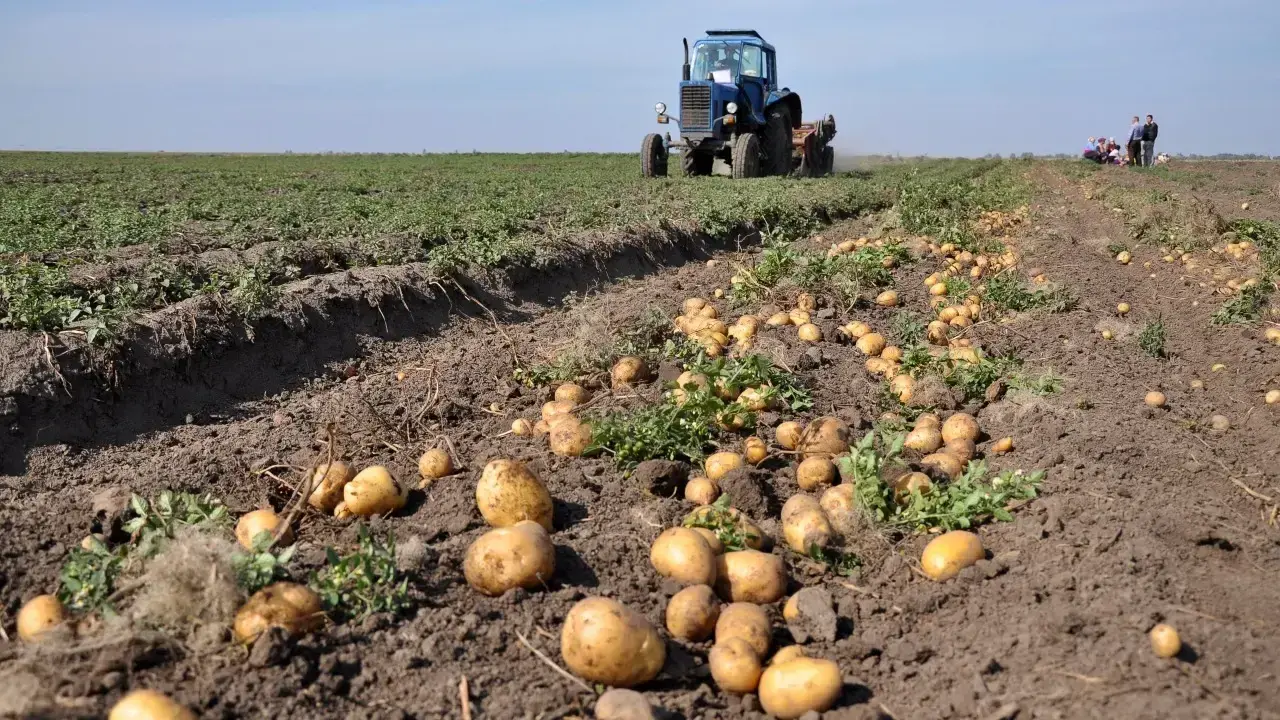 Фото Depositphotos.com