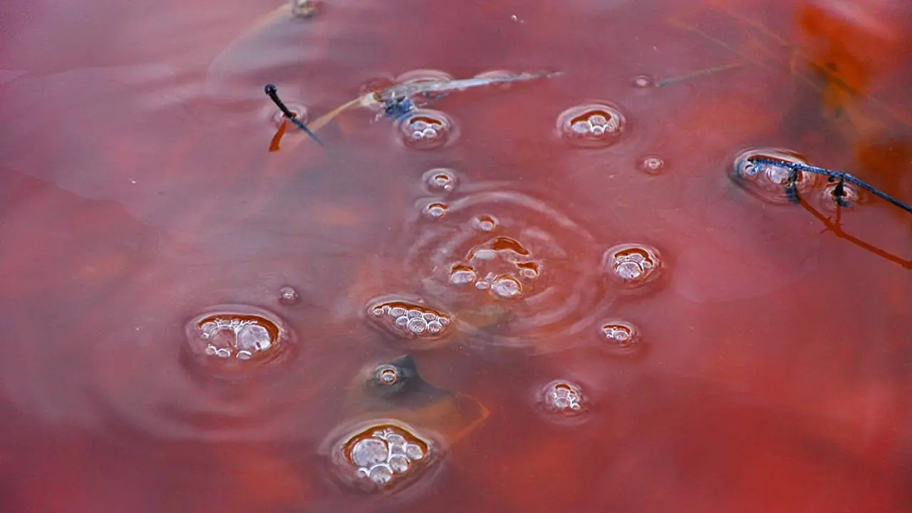 Фото Depositphotos.com