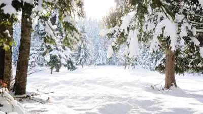 Коммунальщики перешли на усиленный режим работы перед снегопадом в Алматы