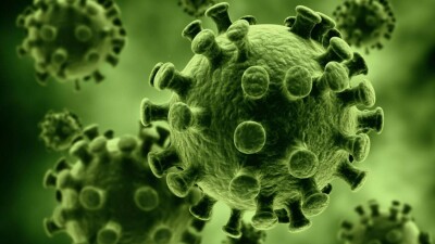 В Казахстане за сутки зарегиcтрировали 52 cлучая заражения коронавируcом