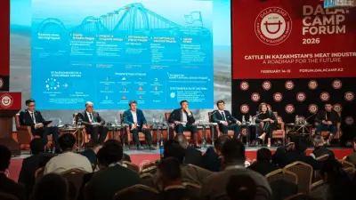 Бразилия мен Қазақстан: Жайылым шамалас болғанымен, неге мал санында айырмашылық үлкен?