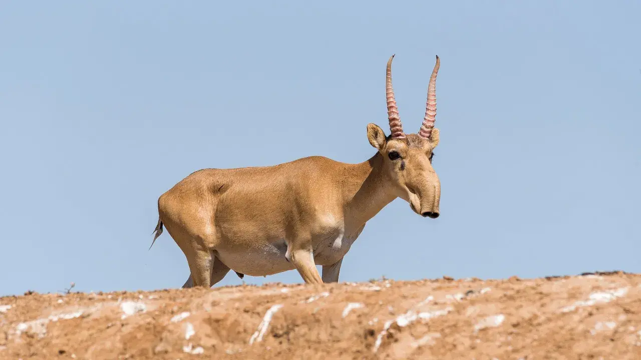 Фото: Depositphotos.com