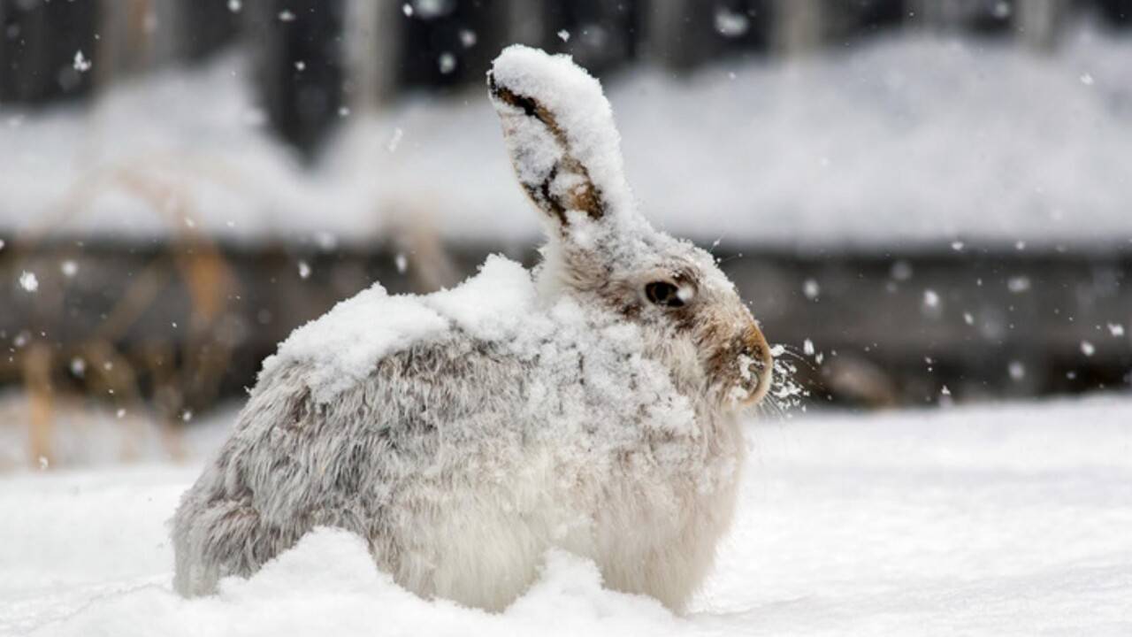 Фото: Пикабу