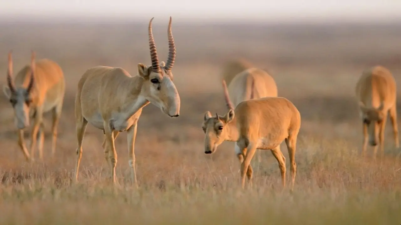 Фото: Depositphotos.com