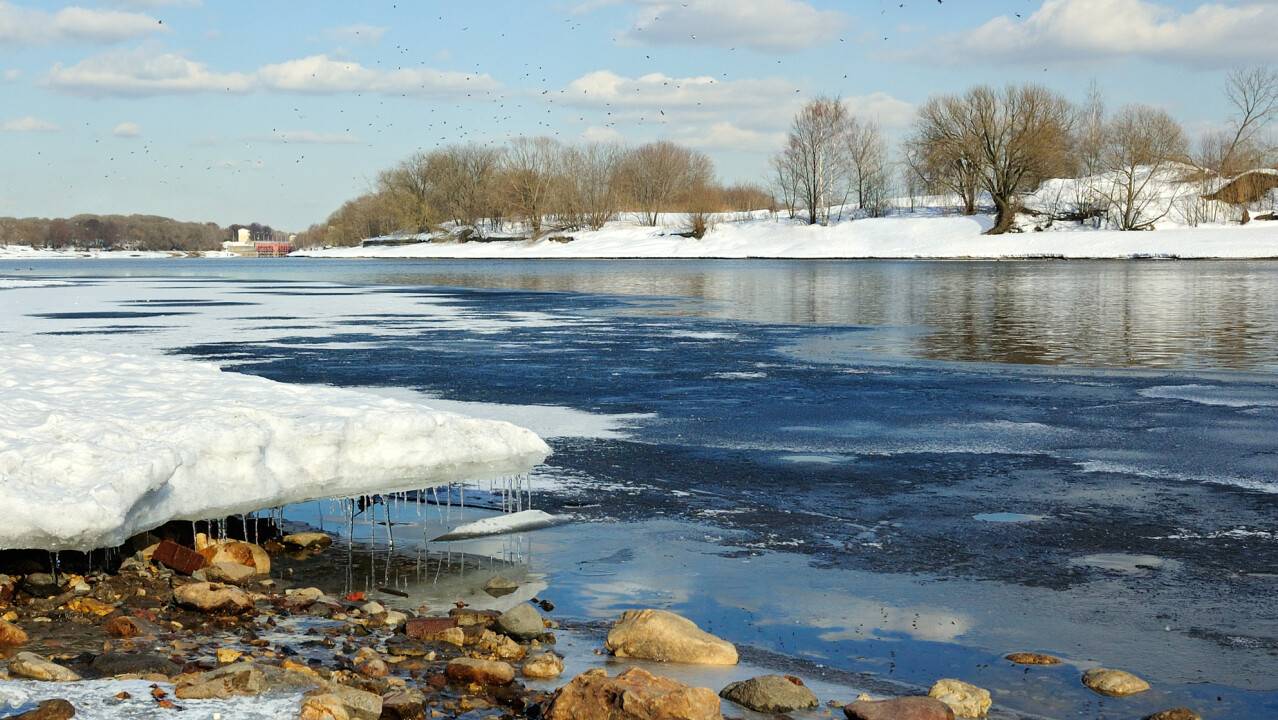 Сурет: depositphotos.com